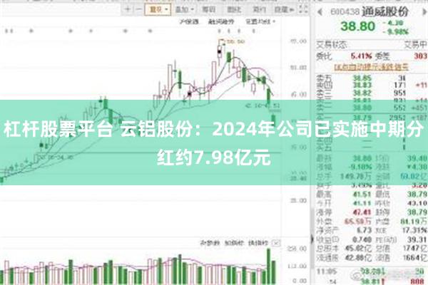 杠杆股票平台 云铝股份：2024年公司已实施中期分红约7.98亿元