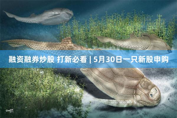 融资融券炒股 打新必看 | 5月30日一只新股申购