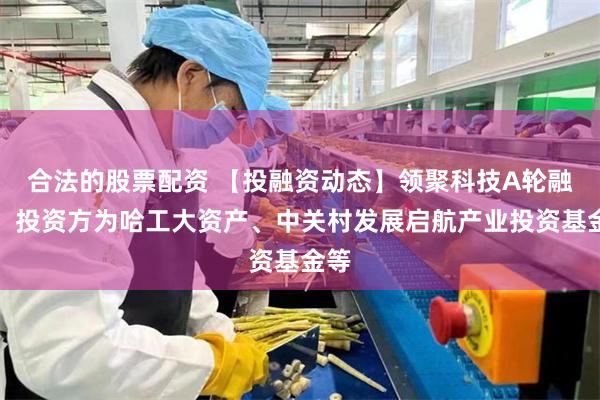 合法的股票配资 【投融资动态】领聚科技A轮融资，投资方为哈工大资产、中关村发展启航产业投资基金等
