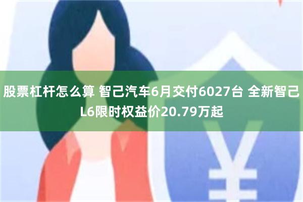 股票杠杆怎么算 智己汽车6月交付6027台 全新智己L6限时权益价20.79万起