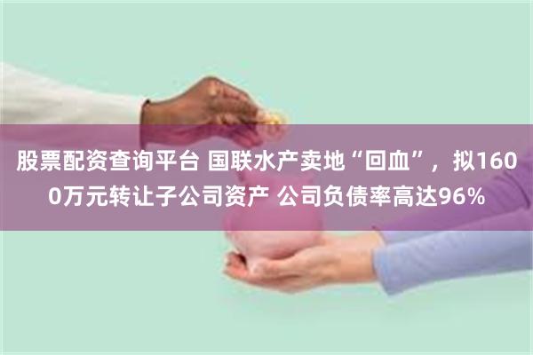 股票配资查询平台 国联水产卖地“回血”，拟1600万元转让子公司资产 公司负债率高达96%