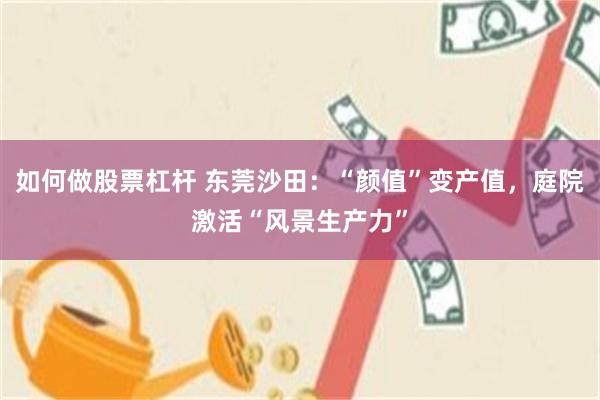 如何做股票杠杆 东莞沙田：“颜值”变产值，庭院激活“风景生产力”