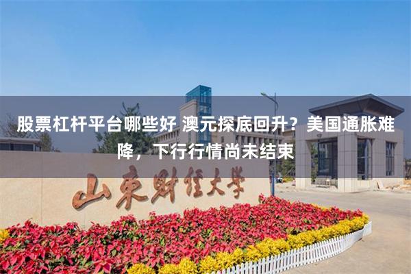 股票杠杆平台哪些好 澳元探底回升？美国通胀难降，下行行情尚未结束