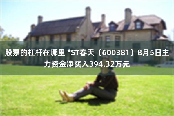 股票的杠杆在哪里 *ST春天（600381）8月5日主力资金净买入394.32万元
