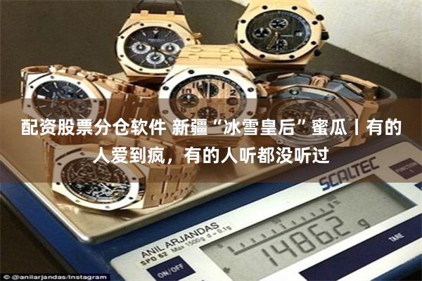 配资股票分仓软件 新疆“冰雪皇后”蜜瓜丨有的人爱到疯，有的人听都没听过