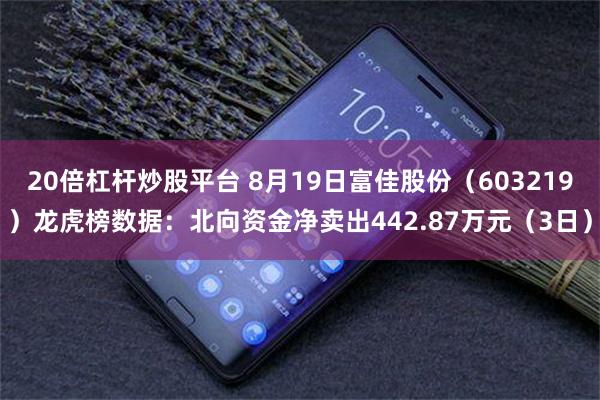 20倍杠杆炒股平台 8月19日富佳股份（603219）龙虎榜数据：北向资金净卖出442.87万元（3日）