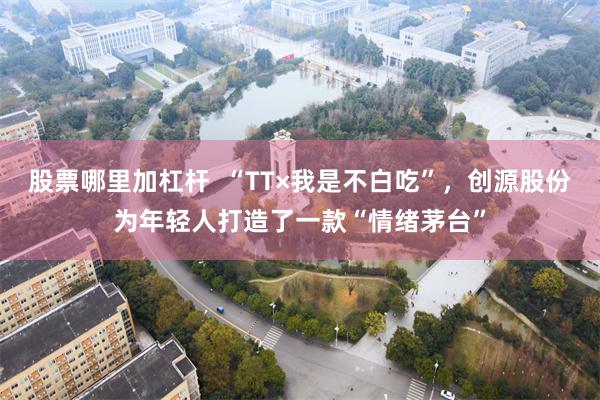 股票哪里加杠杆  “TT×我是不白吃”，创源股份为年轻人打造了一款“情绪茅台”