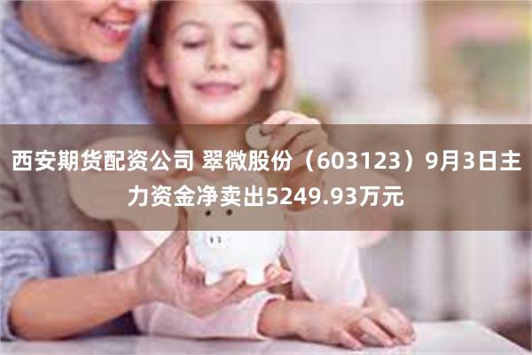 西安期货配资公司 翠微股份（603123）9月3日主力资金净卖出5249.93万元
