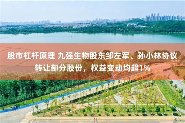 股市杠杆原理 九强生物股东邹左军、孙小林协议转让部分股份，权益变动均超1%