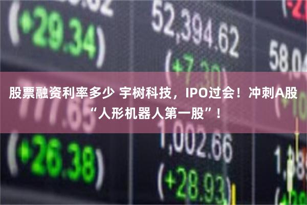 股票融资利率多少 宇树科技，IPO过会！冲刺A股“人形机器人第一股”！