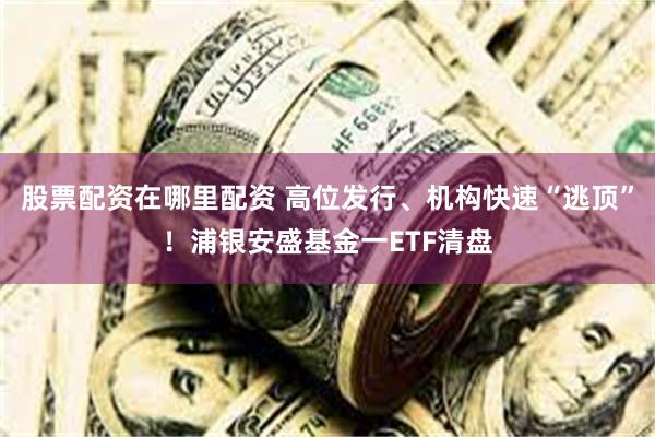 股票配资在哪里配资 高位发行、机构快速“逃顶”！浦银安盛基金一ETF清盘