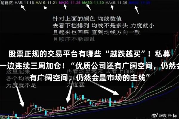 股票正规的交易平台有哪些 “越跌越买”！私募一边密集自购，一边连续三周加仓！“优质公司还有广阔空间，仍然会是市场的主线”