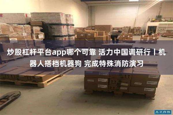 炒股杠杆平台app哪个可靠 活力中国调研行丨机器人搭档机器狗 完成特殊消防演习