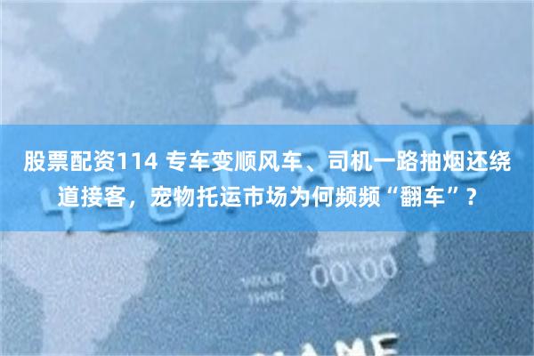 股票配资114 专车变顺风车、司机一路抽烟还绕道接客，宠物托运市场为何频频“翻车”？