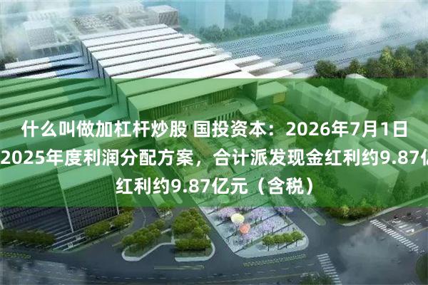 什么叫做加杠杆炒股 国投资本：2026年7月1日已实施完成2025年度利润分配方案，合计派发现金红利约9.87亿元（含税）