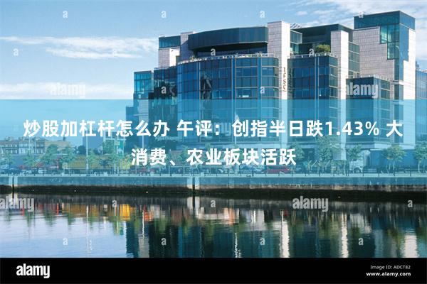 炒股加杠杆怎么办 午评：创指半日跌1.43% 大消费、农业板块活跃