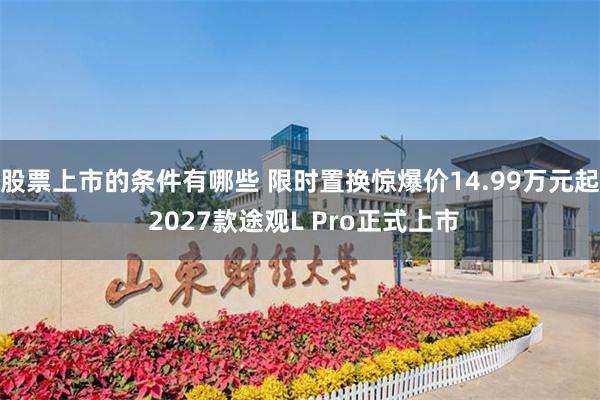 股票上市的条件有哪些 限时置换惊爆价14.99万元起 2027款途观L Pro正式上市