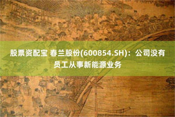 股票资配宝 春兰股份(600854.SH)：公司没有员工从事新能源业务