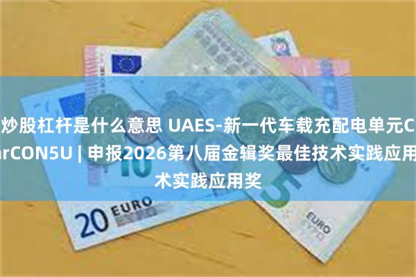 炒股杠杆是什么意思 UAES-新一代车载充配电单元CharCON5U | 申报2026第八届金辑奖最佳技术实践应用奖