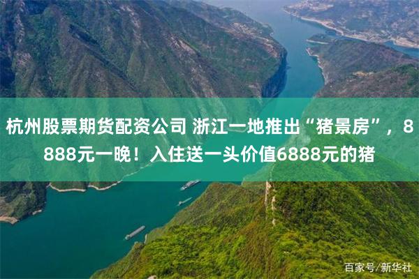 杭州股票期货配资公司 浙江一地推出“猪景房”，8888元一晚！入住送一头价值6888元的猪