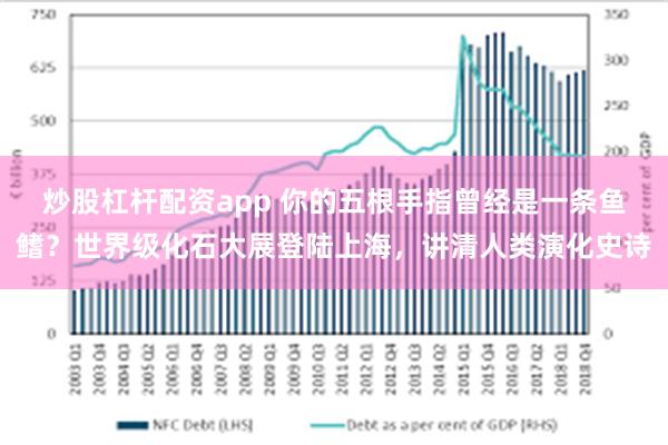 炒股杠杆配资app 你的五根手指曾经是一条鱼鳍？世界级化石大展登陆上海，讲清人类演化史诗