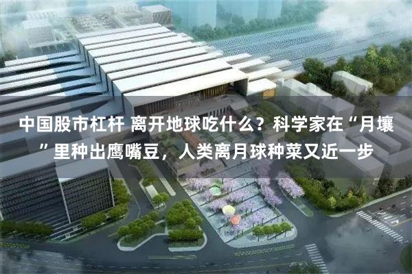 中国股市杠杆 离开地球吃什么？科学家在“月壤”里种出鹰嘴豆，人类离月球种菜又近一步