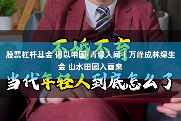 股票杠杆基金 何以中国·青绿人间丨万峰成林绿生金 山水田园入画来