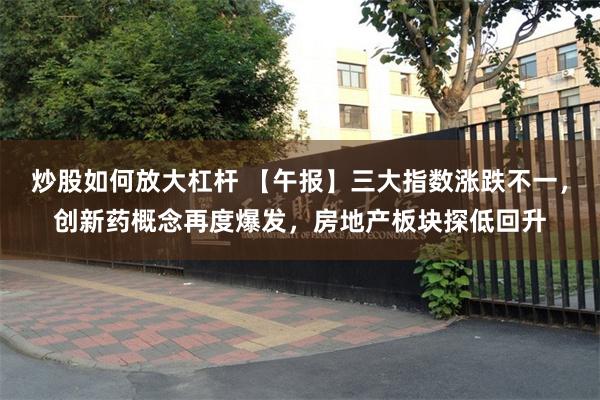 炒股如何放大杠杆 【午报】三大指数涨跌不一，创新药概念再度爆发，房地产板块探低回升
