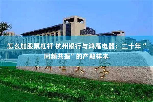 怎么加股票杠杆 杭州银行与鸿雁电器：二十年“同频共振”的产融样本