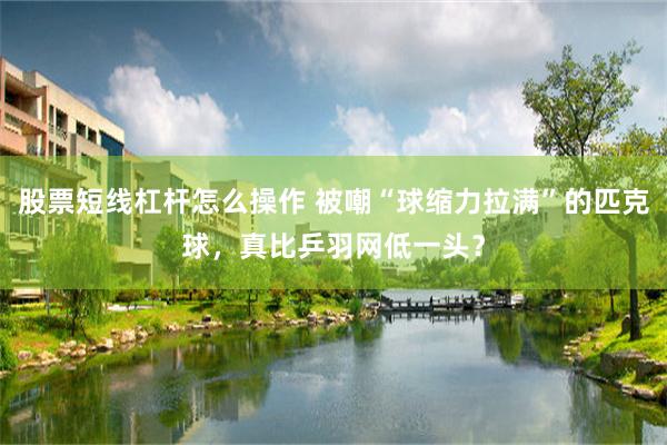 股票短线杠杆怎么操作 被嘲“球缩力拉满”的匹克球，真比乒羽网低一头？