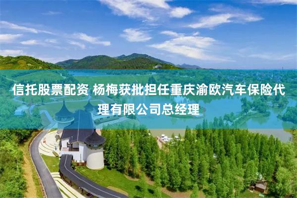 信托股票配资 杨梅获批担任重庆渝欧汽车保险代理有限公司总经理
