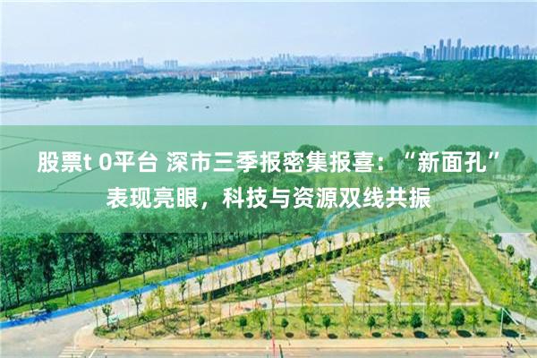 股票t 0平台 深市三季报密集报喜：“新面孔”表现亮眼，科技与资源双线共振
