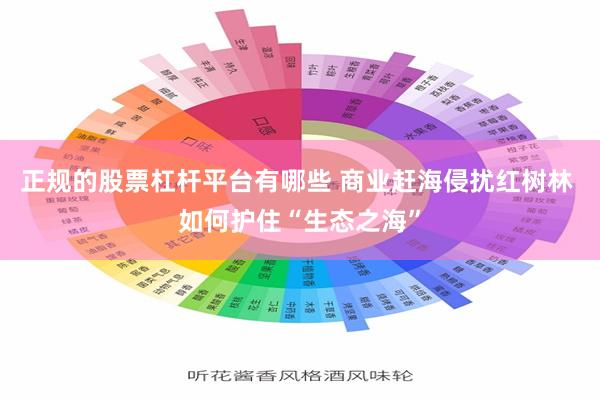 正规的股票杠杆平台有哪些 商业赶海侵扰红树林 如何护住“生态之海”