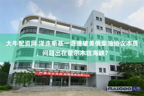 大牛配资网 泽连斯基一语道破美俄柴油协议本质,问题出在霍尔木兹海峡?